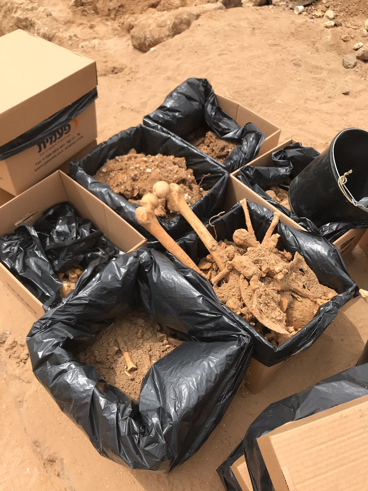 WhatsApp Image 2020-06-17 at 9.30.46 AM.jpeg.jpeg